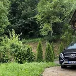 Nature *