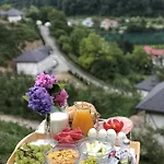 Nature *