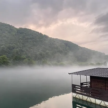 فيلة Nature