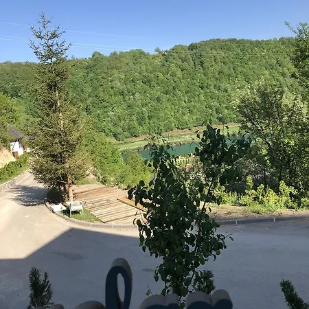 Nature فيلة